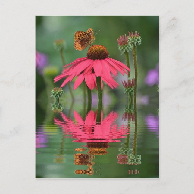 Summer Butterfly Reflections Postcard (Front)