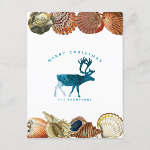 Summer Christmas Beach Seashell Reindeer Holiday Postcard