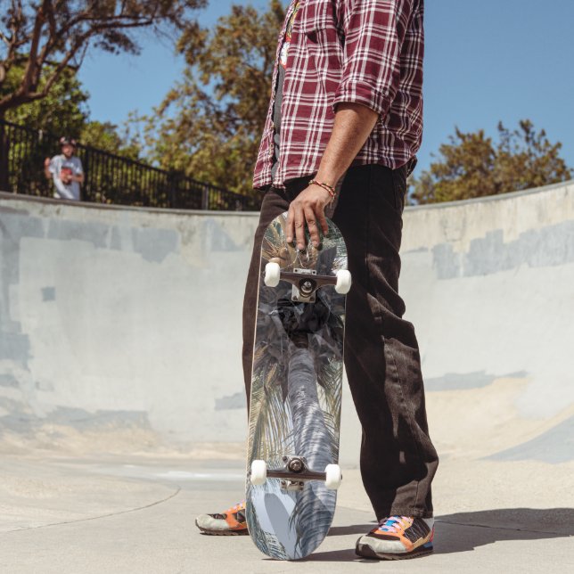 Summer Coconut Chill Palm 1 Skateboard (Outdoor 2)
