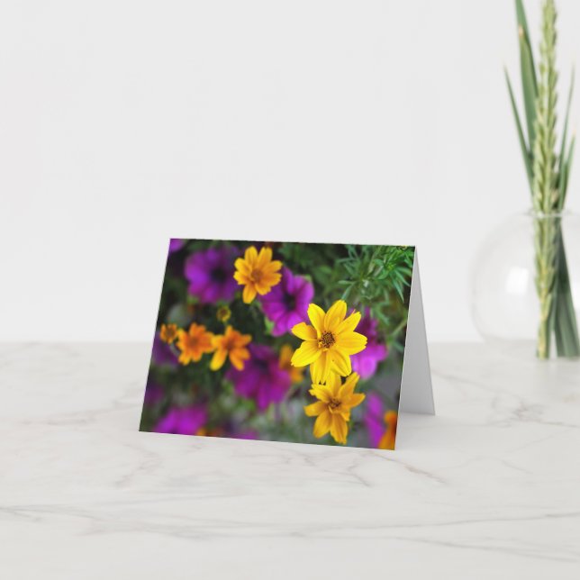 Summer Colour Blank Note Cards (Front)