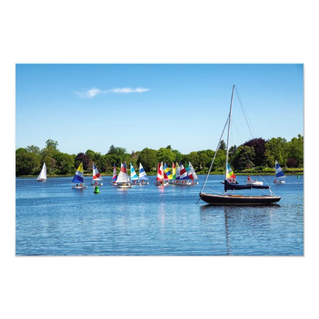 Summer Colours Photo Print (Front)