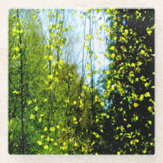 Summer curtain glass coaster