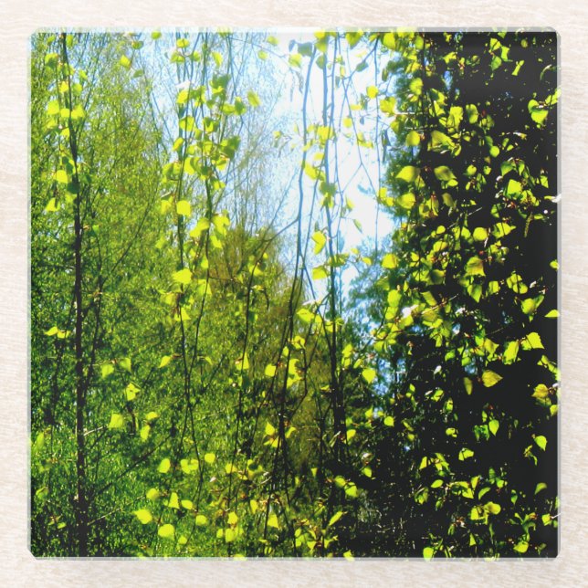 Summer curtain glass coaster (Front)