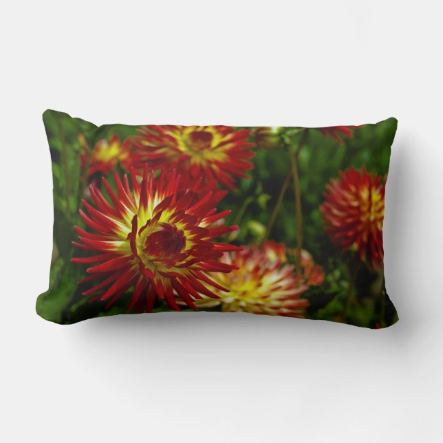 Summer Dahlia Flower Lumbar Pillow (Front)