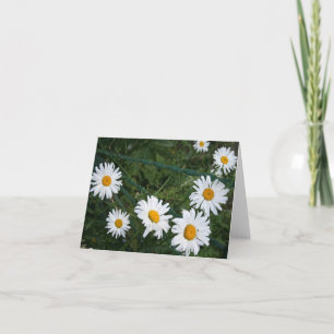 Summer Daisies Blank Folded Greeting Card