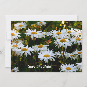 Summer Daisy Enregistrer La Date Invitation