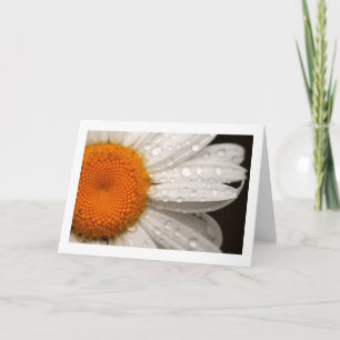 Summer Daisy Folded Blank Greeting Card
