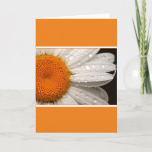 Summer Daisy Folded Blank Greeting Card