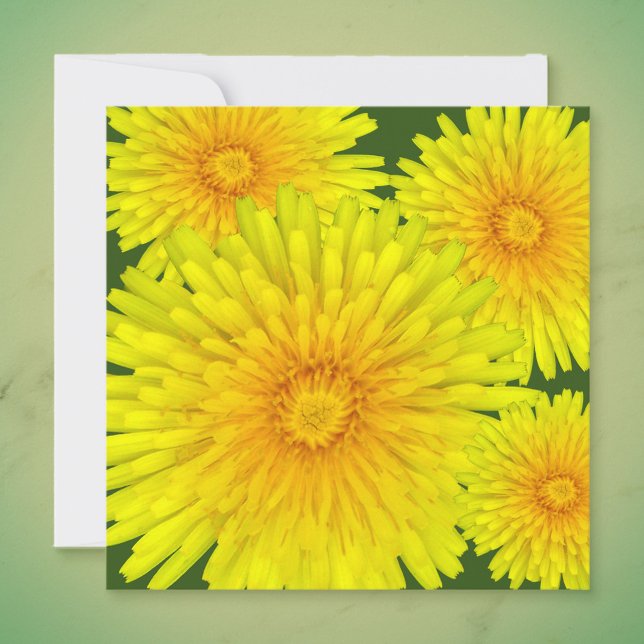 Summer Dandelion Card (Creator Uploaded)