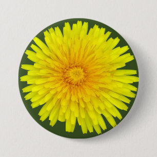 Summer Dandelion Round Button