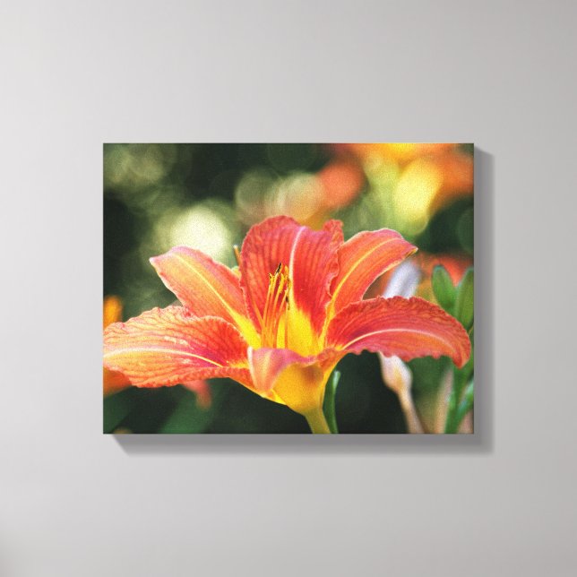 Summer Daylily Canvas Print (Front)