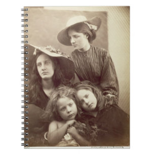 Summer Days, c.1866 (albumen print from a collodio Notebook