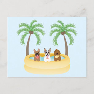 Summer Dogs Swimming Pool Postcard
