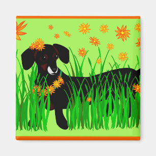 Summer Doxie, magnet