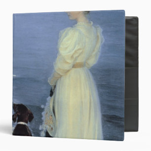 Summer Evening at Skagen Binder