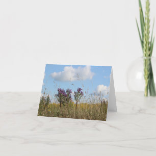 Summer Field in the Countryside Holiday Card