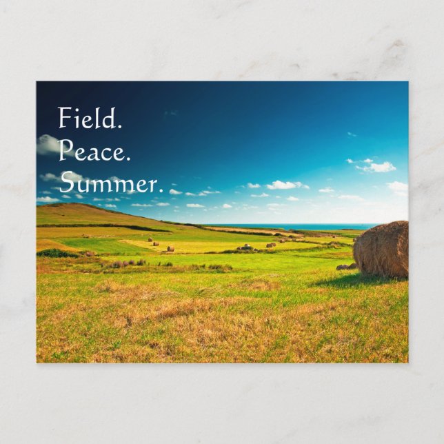 Summer Field Postcard (Front)
