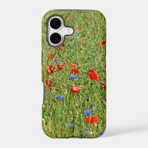 Summer field with red and blue flowers