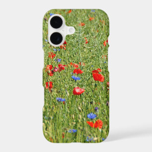Summer field with red and blue flowers