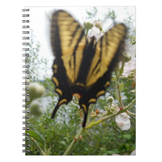 Summer Flights Notebook