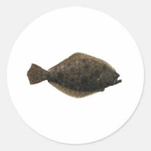 Summer Flounder Classic Round Sticker