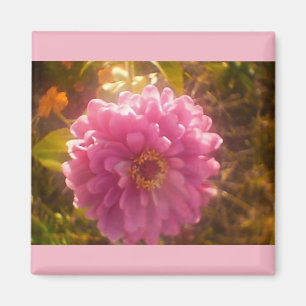 Summer Flower Carnation Magnet