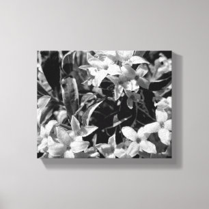 Summer Flowers Canvas Print