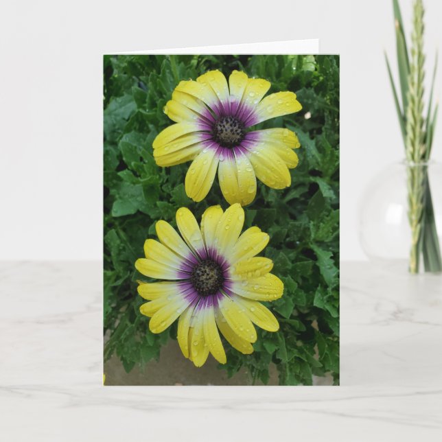 Summer flowers greeting card (Front)