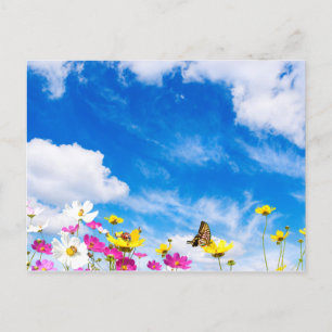 Summer flowers & sky postcard