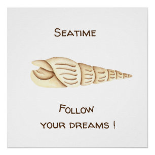 Summer Follow your dreams Shell Romantic Cute  Poster