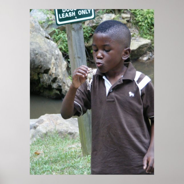 Summer Frogs Poster (Front)