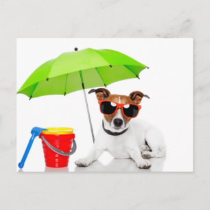 Summer Fun Postcard
