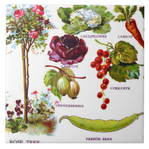 Summer Garden Botanicals Tile