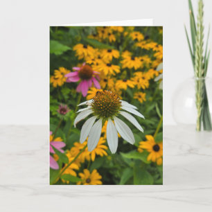 Summer Garden Card