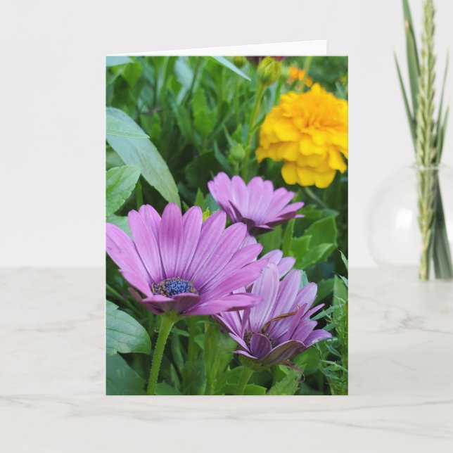 Summer garden  card (Front)