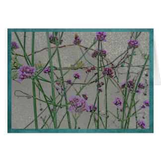 Summer garden flowers #1