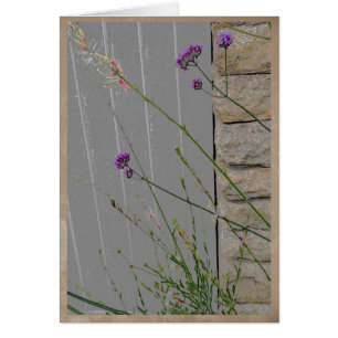 Summer garden flowers #2