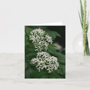 Summer garden flowers thank you card