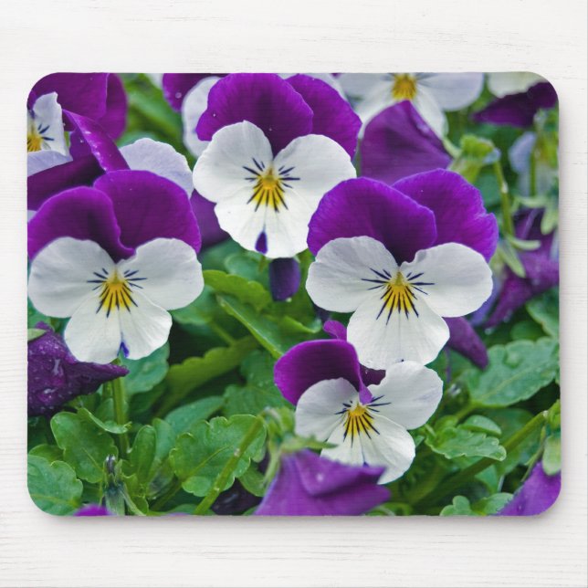 Summer Garden Mouse Pad (Front)