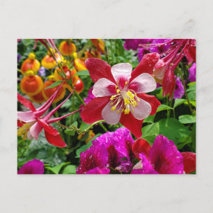 Summer Garden postcard