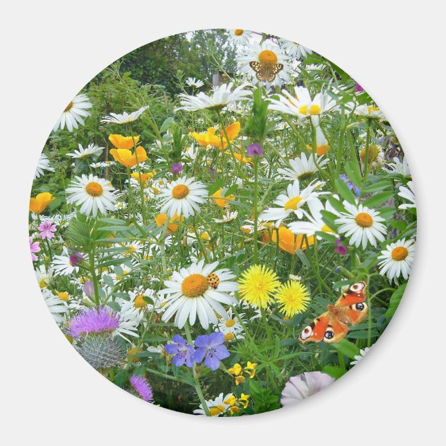Summer Garden Round Magnet (Front)