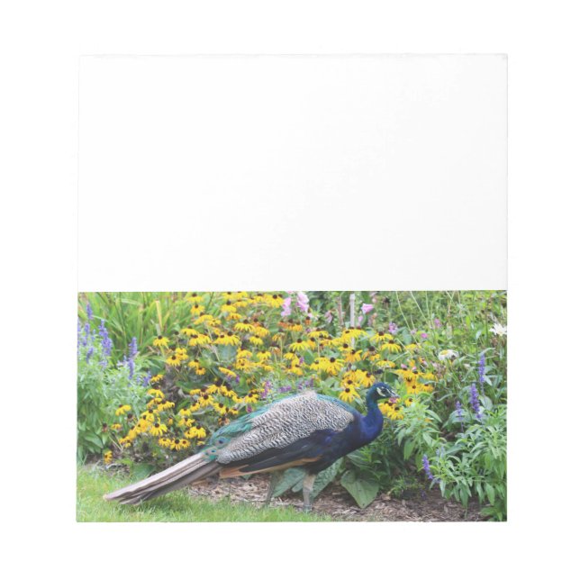 Summer Garden with Peacock notepad (Front)