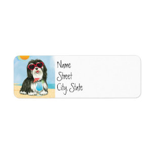 Summer Havanese