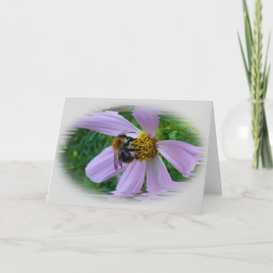 Summer heat card