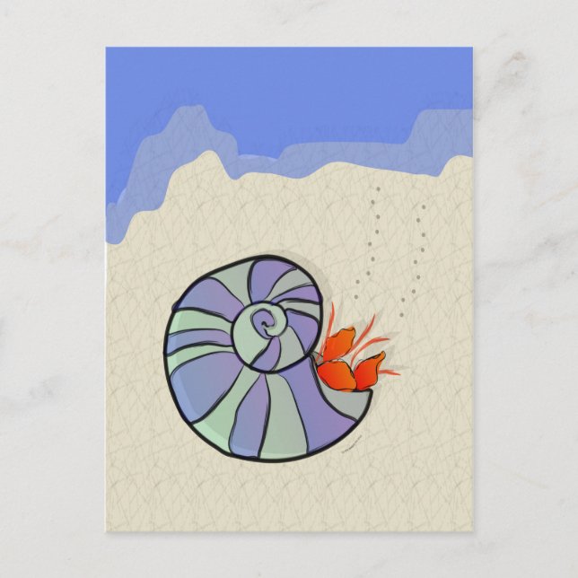 Summer Hermit Crab Postcard (Front)