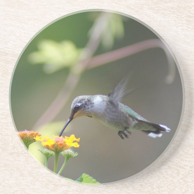 Summer Humming Coaster (Front)