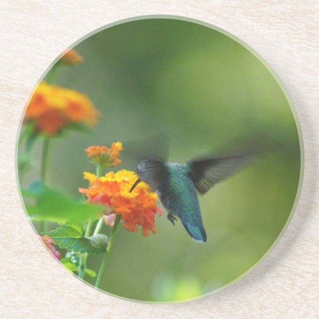 Summer Humming III Coaster (Front)