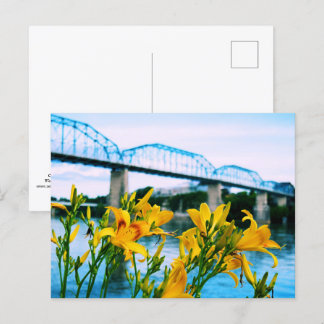 Summer in Chattanooga, TN - Walnut Street Bridge Postcard