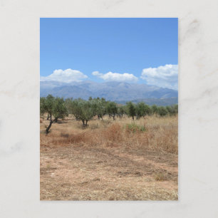 Summer in Crete Postcard
