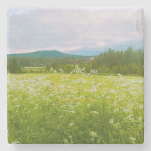 Summer in Hälsingland - Helsingia Stone Coaster